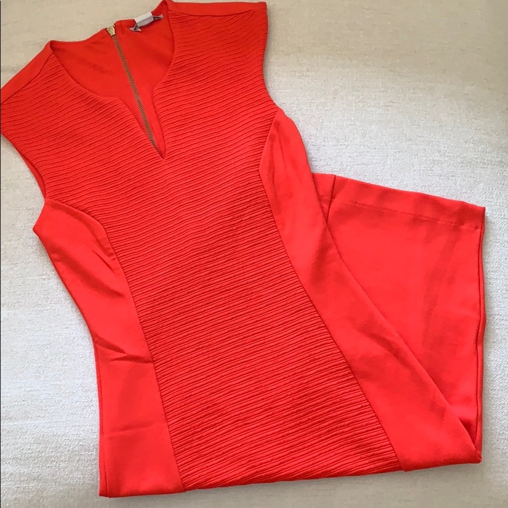 Coral knee length fitted dress